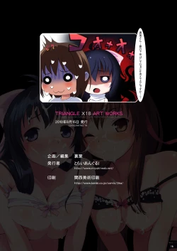 Page 4 of TRIANGLE X18 ART WORKS