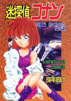 Download Meitantei Conan Tokubetsuhen Suterareta Neko No Nazo