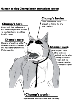 Page 6 of Inu no Seikatsu Ch. 1-2