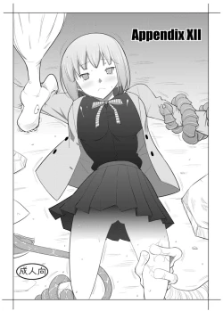 Page 1 of APPENDIX XII