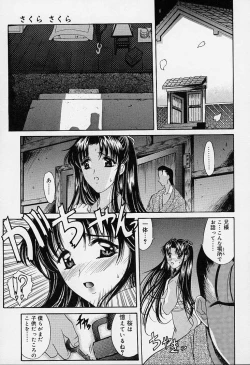 Page 24 of sakura sakura