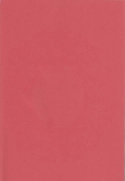 Page 2 of External Link