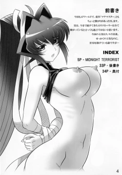 Page 4 of Midnight Terrorist