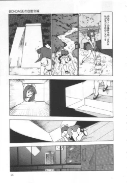 Page 24 of Shisshin File