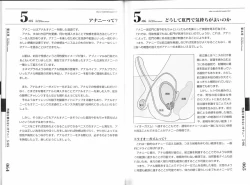 Page 41 of Hitori de Ecchi