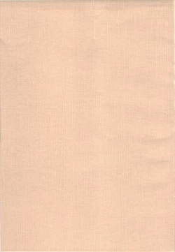 Page 19 of Dream to Issho! | With Dream!