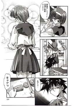 Page 231 of Etsuraku no Nikutsubo