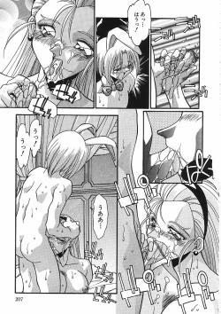 Page 210 of Kanin Rankou - Soukougeki TAC!! Soushuuhen