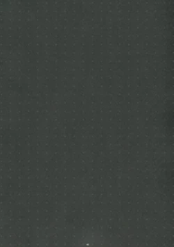 Page 45 of PINK PRISONER