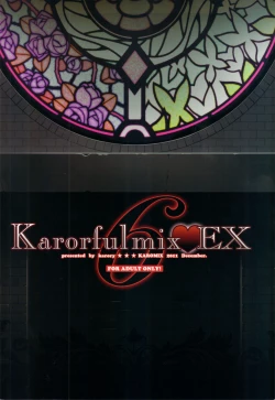 Page 28 of karofulmix EX6