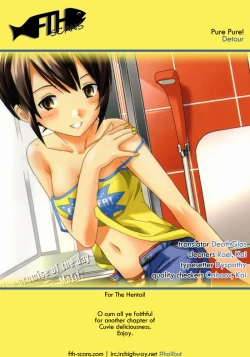 Page 17 of PureDetour