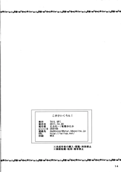 Page 14 of KogaCyclone