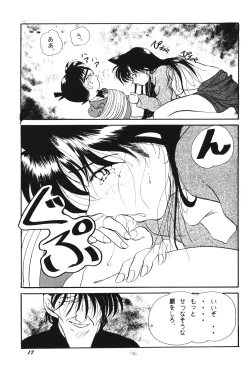 Page 16 of HOHETO 20