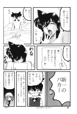 Page 45 of HOHETO 20