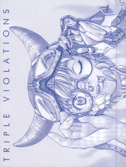 Page 4 of Triple Violations