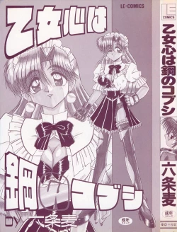 Page 3 of Otomegokoro wa Hagane no Kobushi