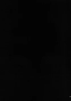 Page 23 of Kirigami Shima | Island Of The Mist God