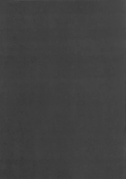 Page 12 of KogaCyclone