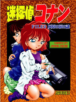 Download Bumbling Detective ConanFile02-The Mystery of Haibara's Tears