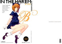 Download IN THE HAREM B SIDE