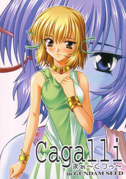 Download Cagalli Mark 2