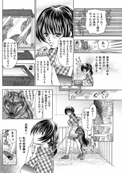 Page 91 of COMIC Mate 2011-12