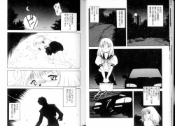 Page 12 of Tozasareta Tobira