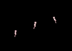 Page 163 of 喜美嶋家での出来事 完全版 AM8:30~11:15