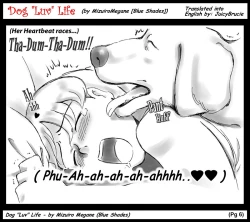 Page 7 of Dog LOVE Life | Dog's Luv Life