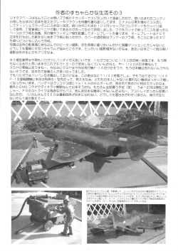 Page 37 of STRAY CAT ANGEL