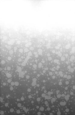 Page 4 of Gaul Denka no Mizugi no Naka ni