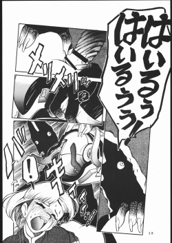 Page 11 of TDF-TWELVE