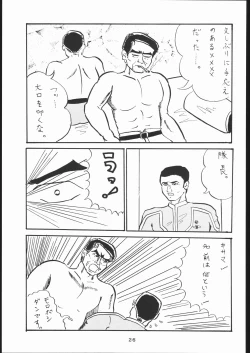 Page 24 of TDF-TWELVE