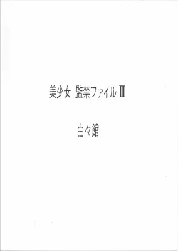 Page 27 of bisyoujo kankin file 2