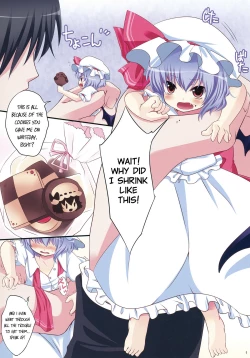 Page 3 of Remilia Size