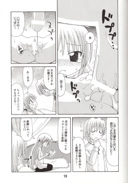 Page 13 of Hinagix