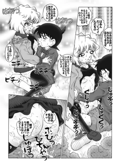 Page 14 of Bumbling Detective Conan - File 5: The Case of The Confrontation with The Black Organiztion