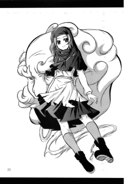 Page 22 of Satori roku