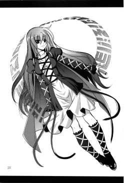 Page 24 of Satori roku