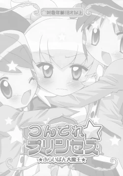 Page 2 of Tsundere Princess