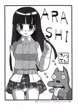 Page 11 of Hime Cut na Arashi wo Misenai.