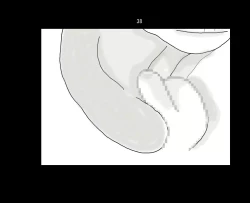 Page 39 of Ai Ningyo