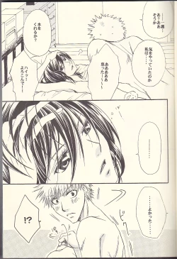 Page 13 of Sputnik Introduction