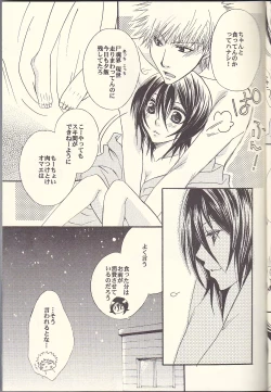 Page 17 of Sputnik Introduction