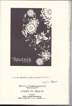 Page 24 of Sputnik Introduction