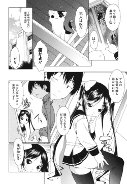 Page 12 of Muni Chichi