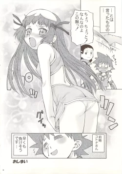 Page 33 of Anemono Hitomatome Plus Soushuuhen 3