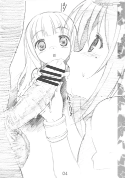 Page 4 of Limitter SHT202102