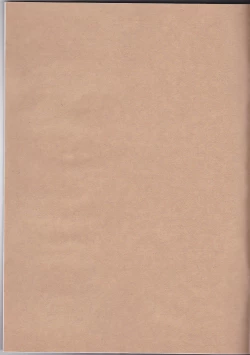 Page 3 of Usotsuki Tsuyogari Kirai... Suki