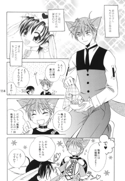 Page 113 of Usazukintan. Matome